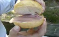 Myster spiewajaca bulka cz.3