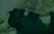 Turkish StarWars Final Scene