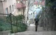Urban trial