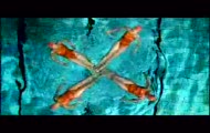4 Strings - Diving
