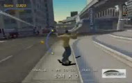 skate eryk