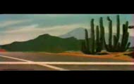 Strus i Kojot - Road Runner vs Coyote - Fast and Furry-ous