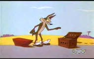 Strus i Kojot - Road Runner vs Coyote - Out and Out Rout
