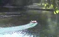 Hydrofoam