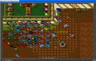 Tibia Combo
