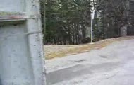 Niesamowity farciarz na rajdzie