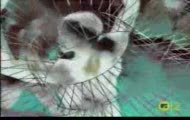 Snap - Rhythm is a Dancer - teledysk
