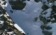 Extreme- Snowboard and Ski