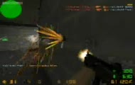 Headshot Team Movie