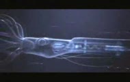 Depeche Mode - Precious - teledysk