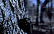Depeche Mode - One Caress - teledysk
