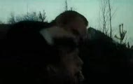 Pazura kontra Kondrat Psy