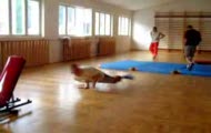 Polski Breakdance