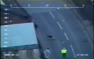 stupid police dog
