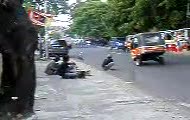 Małpka na motorze