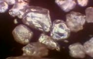 Sonda - Promienie informacji
