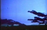 Film oryginalny robiony przez Billego 2