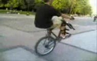 Stunt one wheelie no wheelie