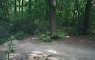 Wariaci w Łagiewnikach.