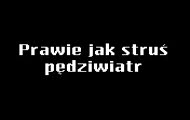 my to umiemy - leśna