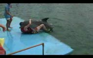 zboczony delfin