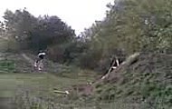 Piotrek Herzyk