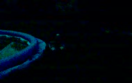 wlosy pod pachami xD