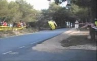 Drzewo vs WRC
