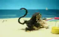 crazy monkey