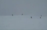 Maciuś ski