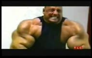 co za biceps