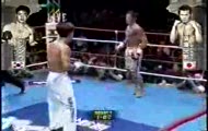 Taekwondo vs Kickboxing