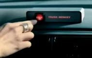 Car monkey