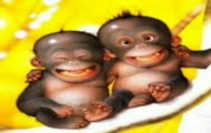 smieszne kawaly x