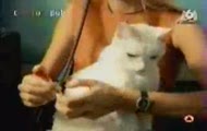 Chupa-Chupss