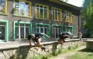 Le-Parkour (Twister-Boys)