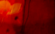 http://www.youtube.com/watch?v=fKAUKPTROPM&feature=channel