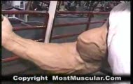 Bodybuilder Chris Bennett biceps - Guns 2002 xxx