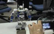 Humanoid Robot