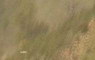 Wypadek Latvali podczas rajdu Portugalii
