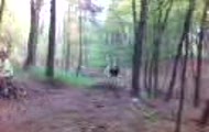jump.baszta