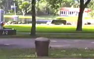 dowcip w smietniku
