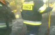 Pożar Lasu