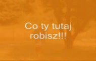 Thassos co ty tutaj robisz??