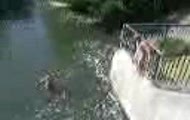 Zapory skok na blache 9 2006