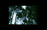 Zalew Bledzewski - Obra 2009r. (cz.I)