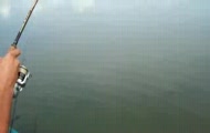 hol sandacza m mur