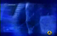 Big Brother 1 - Intro (Czołówka)