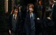 Harry Potter parodia