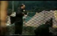 Fala - Jarocin 85 (2 Z 9)